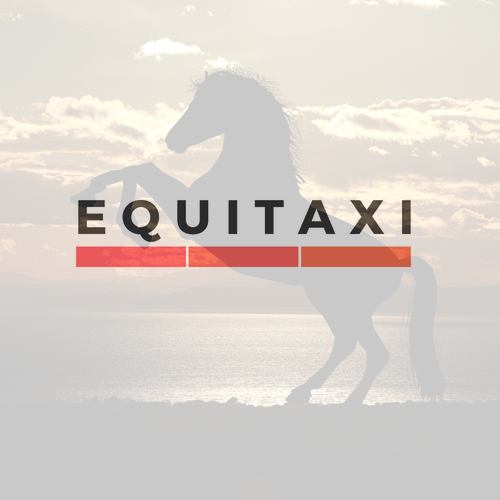 paardentrasport equitaxi foto met logo